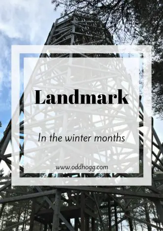 Landmark In The Winter Months | Have you ever wondered what a family day out at Landmark Forrest Adventure Park is like in the winter? We went along in November to see which of the attractions we could see. Click on the post to see what we got up to https://oddhogg.com