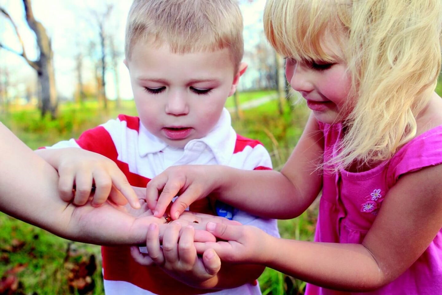 A boy and a girl looking at a ladybird in the palm of someones hand.