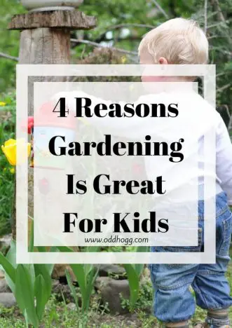 4 Reasons Why Gardening Is Good For Kids | A guest post highlighting the top reasons you should encourage your chilren to help you in the garden https://oddhogg.com