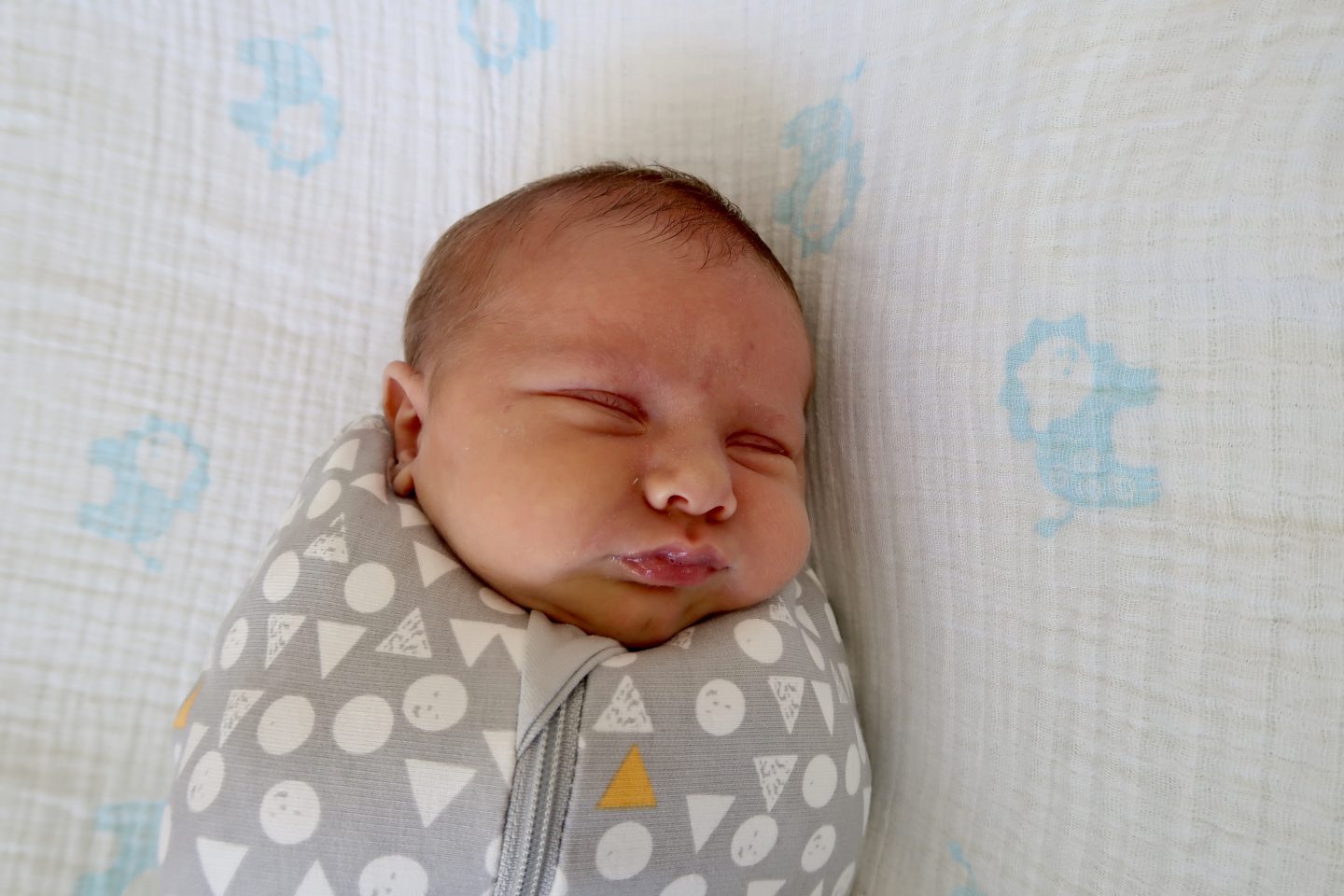 JJ at 1 month old | JJ In Cocoon https://oddhogg.com