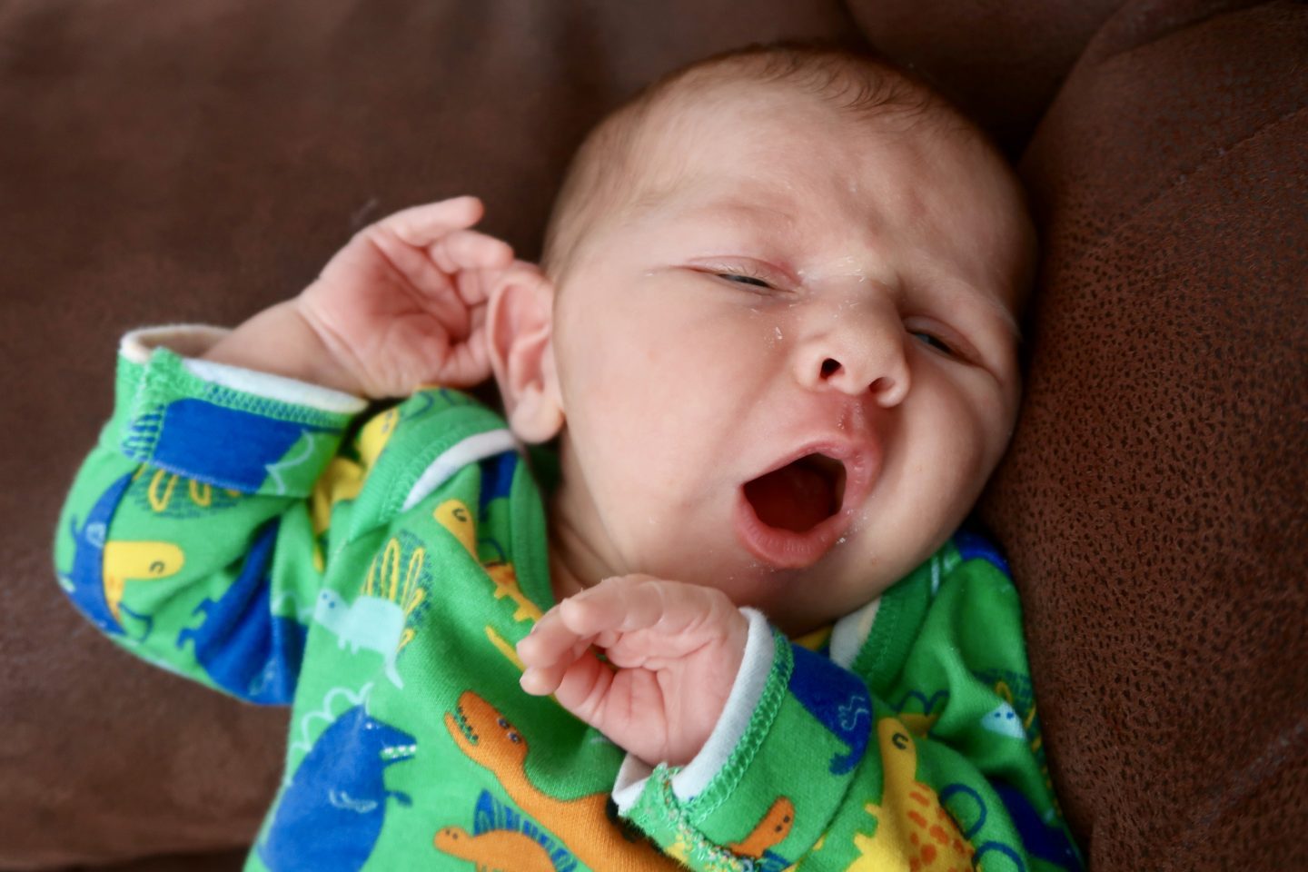 Coping With Colic Oddhogg