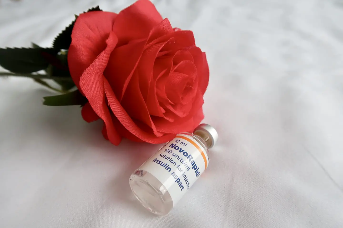 A Novorapid insulin lying in front of a red rose