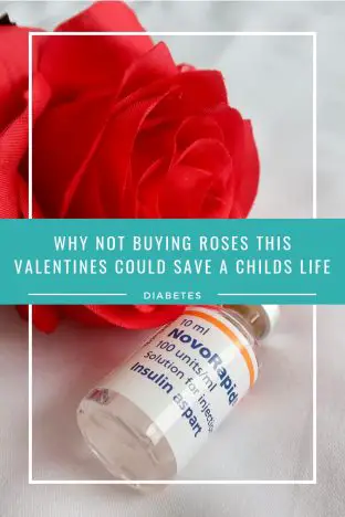 Spare a rose, save a child | This valentines day you could save a child's life by replacing your roses with a donation. Instead of a dozen red roses, just buy 11 and use the money to donate to buy insulin and blood glucose testing equipment for a child with type 1 diabetes www.oddhogg.com