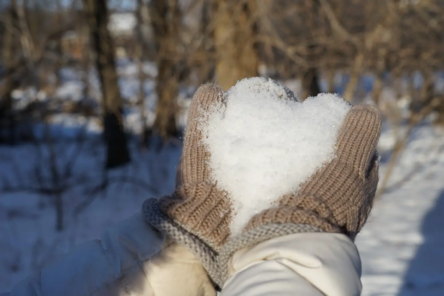 A pair of hands in brown gloves holding snow in the shape of a heart