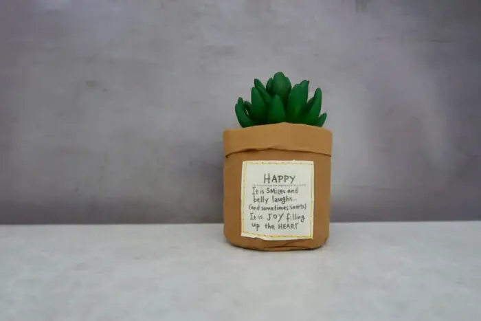 An artificial succulent with a note on the front of the pot saying Happy