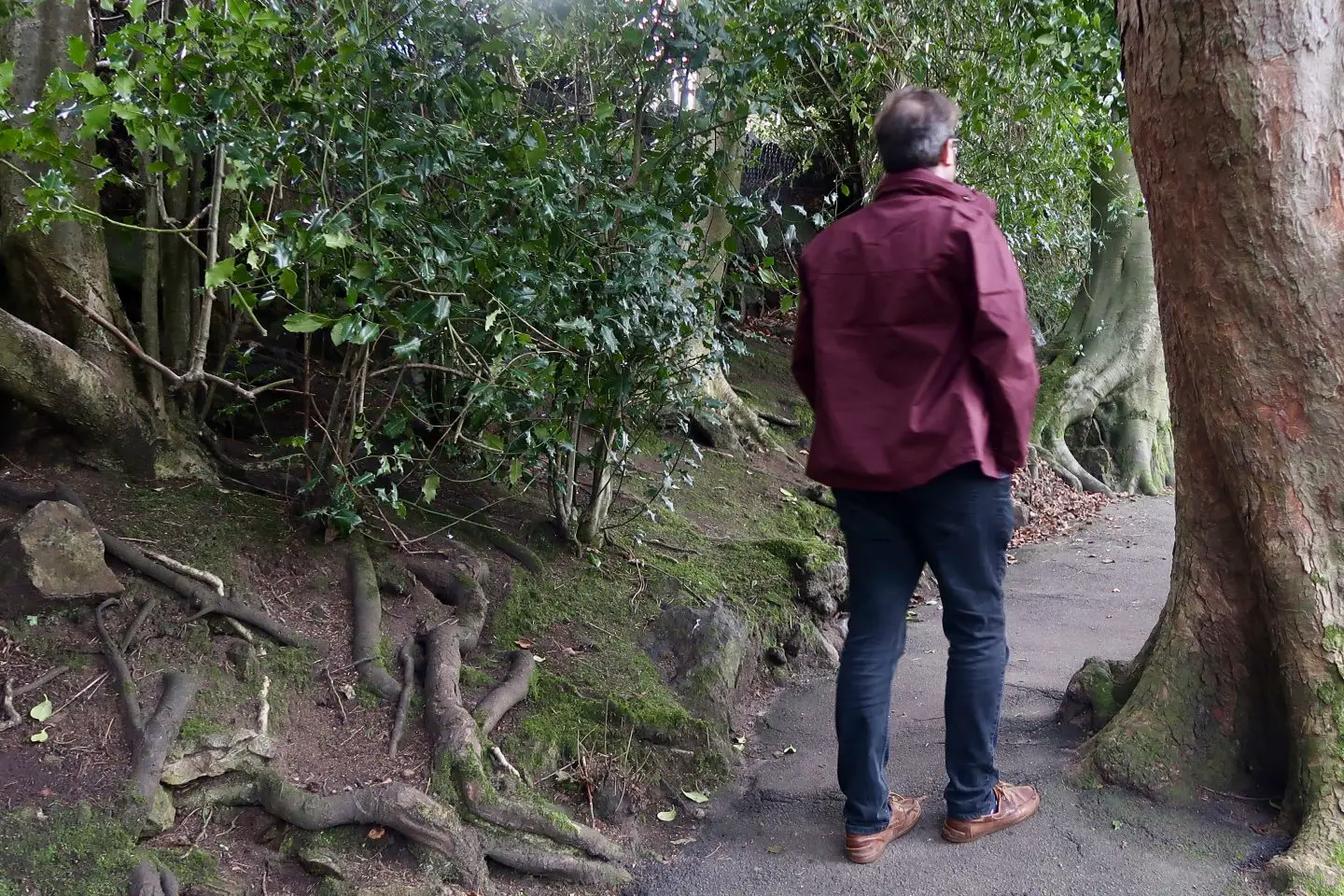 A man walking through the trees in a park wearing a dark red jacket from Lighthouse Clothing
