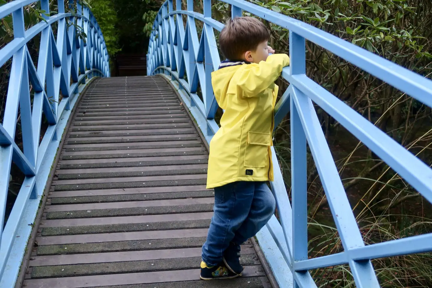 A boy standing on a bridge with blue railings, leaning against them to see over the side