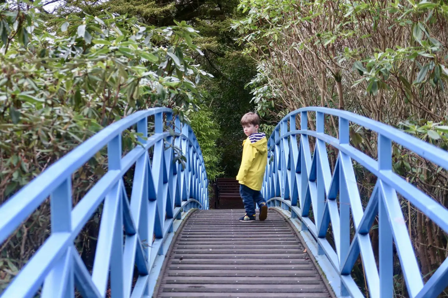 A boy standing on a bridge with blue railings, looking back towards the camera