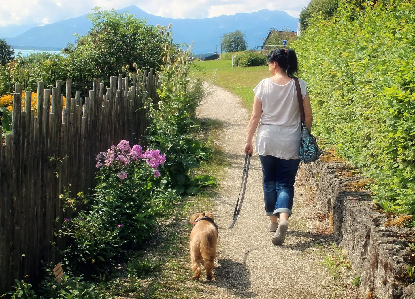 A woman walking down a lane with a dog on a lead