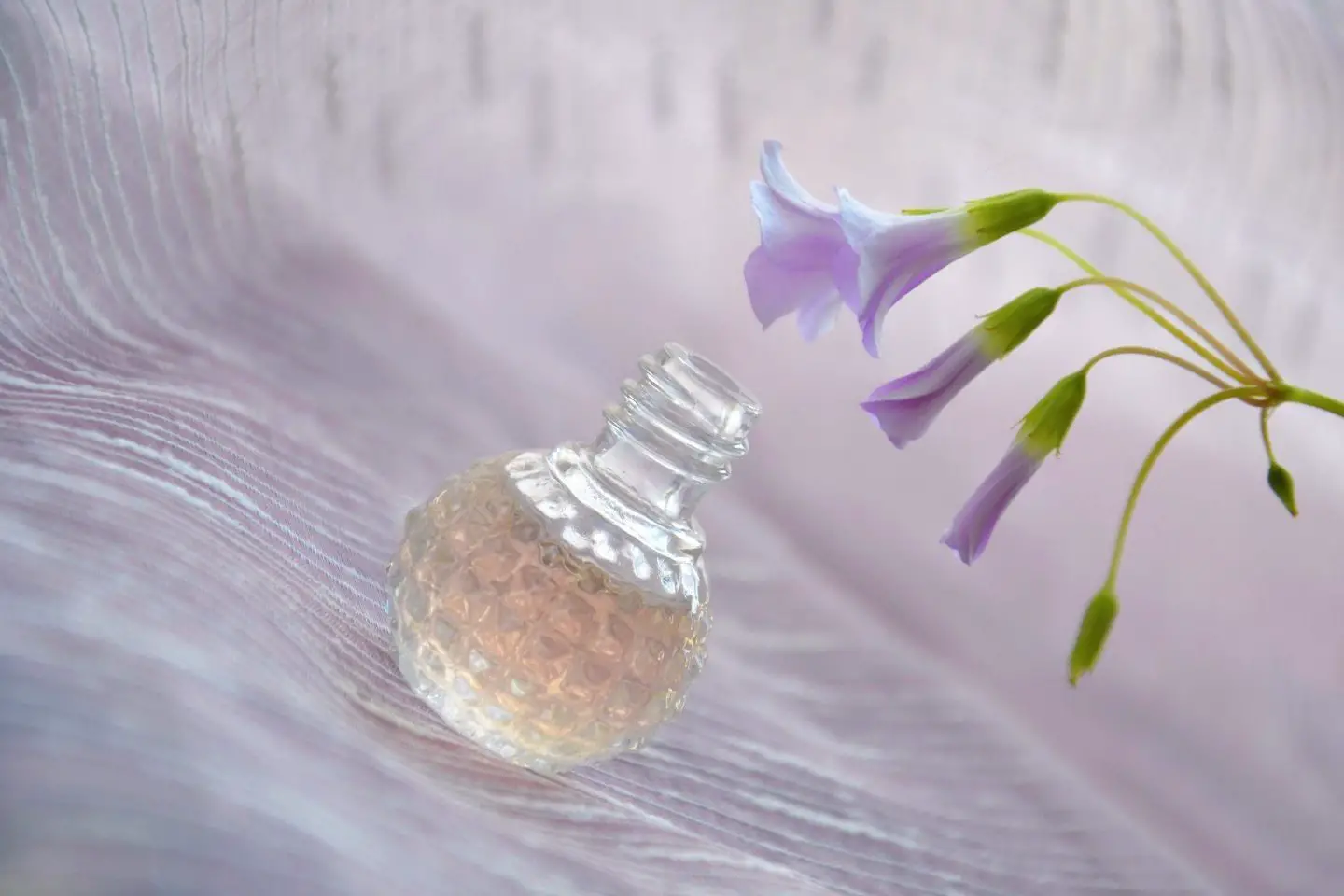 A bottle of perfume next to a flower