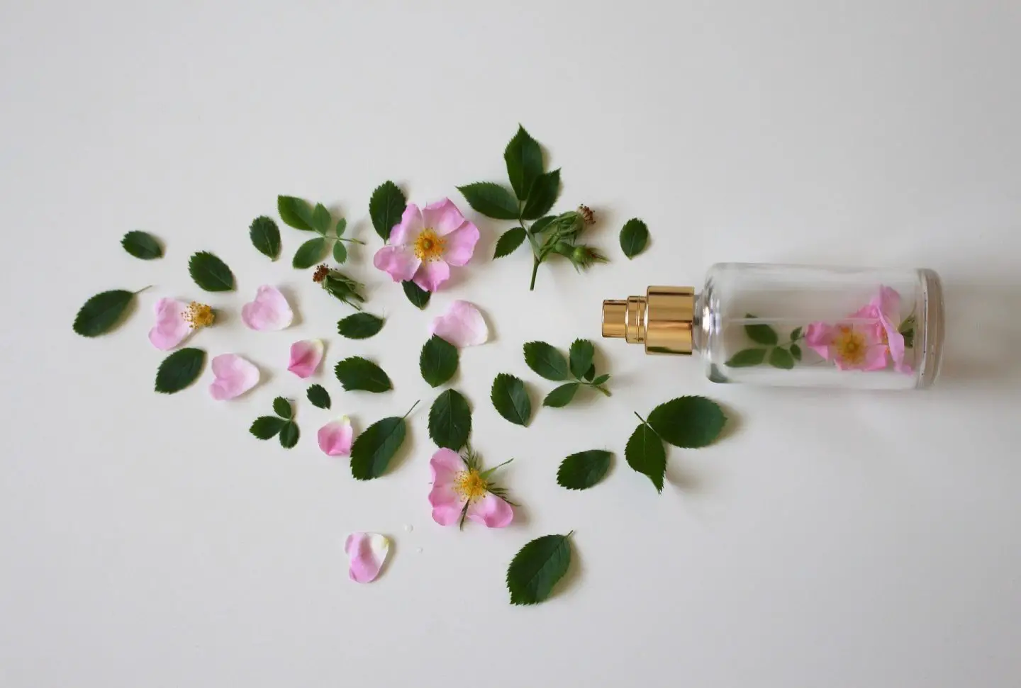 A perfume bottles lying on it's side with flower petals and leaves inside it and on the surrounding area