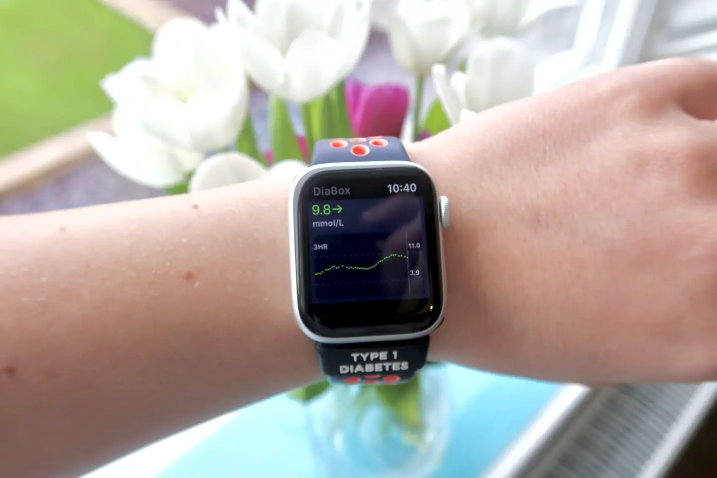 afbalanceret aflange Baglæns Connecting The Libre 2 To A Smart Watch - OddHogg