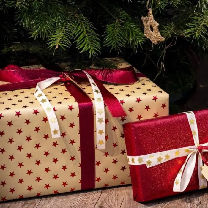 2 presents wrapped and placed under a Christmas tree