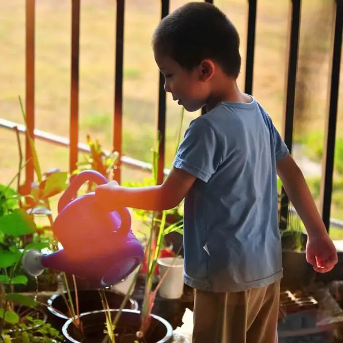 A little boy with a watering can watering some plants outside