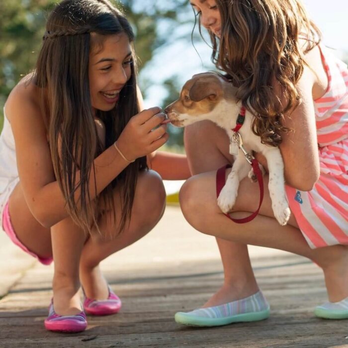Two girls crouched down and playing with a puppy