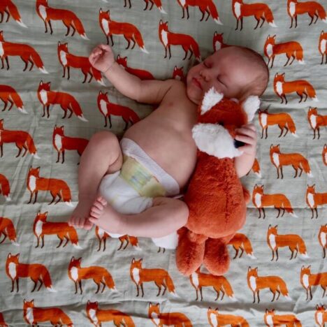 A baby lying on a fox muslin holding a fox toy