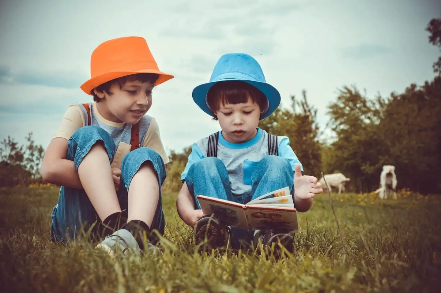 2 boys sitting on the grass looking at a book