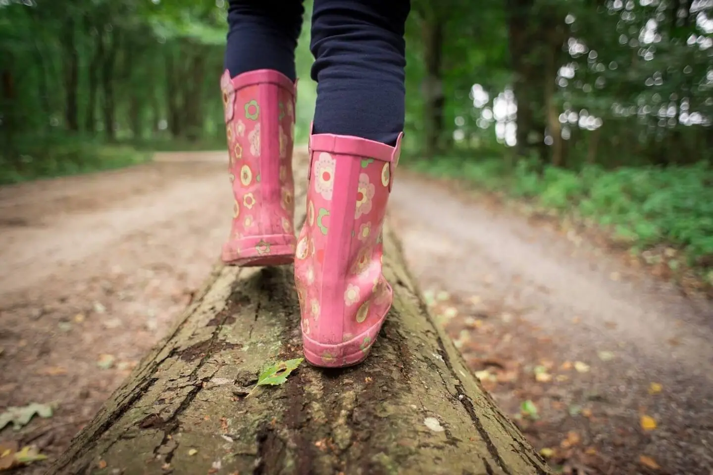 The legs of a child wearing pink welly boots. They are walking on a log in the forrest