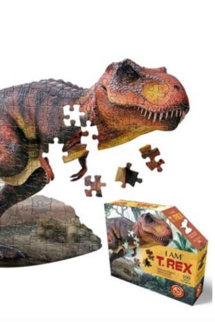 Dinosaur gift ideas for 5 year on sale old